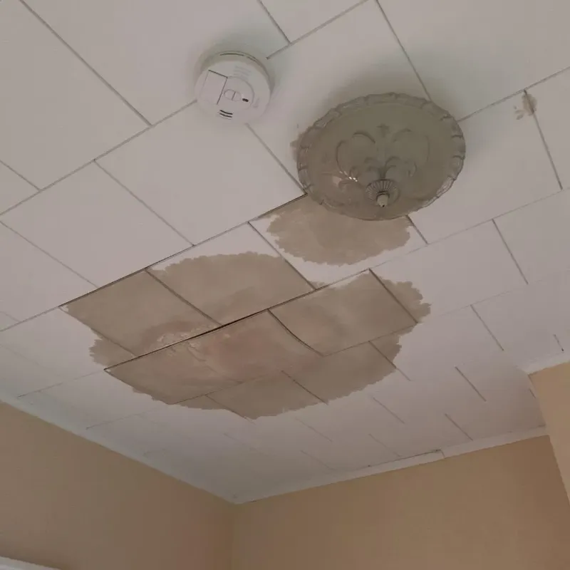 Ceiling Water Damage Repair in Lakes of the Four Seasons, IN