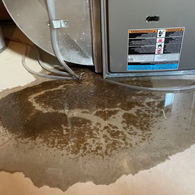 Pipe Burst and Leak Restoration in Lakes of the Four Seasons, IN