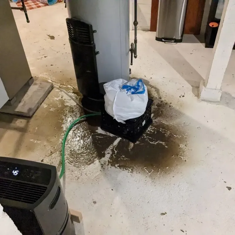 Sewage Backup Cleanup Service in Lakes of the Four Seasons, IN